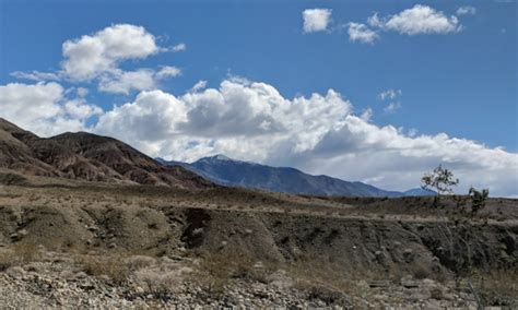 Death Valley marijuana grow: 10,000 plants and deadly pesticide
